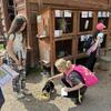 Fotografie 26 - Škola v přírodě - úterý