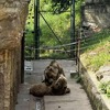 Fotografie 7 - ŠKOLA V PŘÍRODĚ - 5. DEN