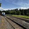 Fotografie 9 - ŠKOLA V PŘÍRODĚ - 5. DEN