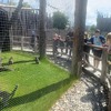 Fotografie 4 - Ekocentrum Čapí hnízdo