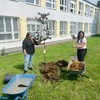 Fotografie 15 - Sázíme stromy