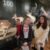 Fotografie 10 - Národní muzeum