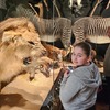 Fotografie 13 - Národní muzeum