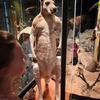 Fotografie 16 - Národní muzeum