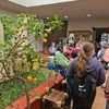 Fotografie 3 - Botanická zahrada Teplice