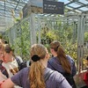 Fotografie 8 - Botanická zahrada Teplice