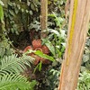 Fotografie 12 - Botanická zahrada Teplice