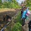 Fotografie 3 - ŠvP 2. den