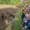 Fotografie 4 - ŠvP 2. den