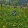 Fotografie 19 - ŠvP 2. den