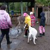 Fotografie 27 - Školní výlet - Stáj U Lucky