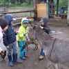 Fotografie 33 - Školní výlet - Stáj U Lucky
