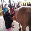 Fotografie 46 - Školní výlet - Stáj U Lucky