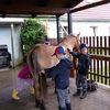 Fotografie 56 - Školní výlet - Stáj U Lucky