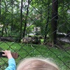 Fotografie 12 - Výlet - Zoopark Chomutov
