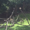 Fotografie 19 - Výlet - Zoopark Chomutov