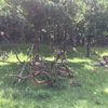 Fotografie 20 - Výlet - Zoopark Chomutov