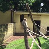 Fotografie 21 - Výlet - Zoopark Chomutov
