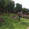 Fotografie 22 - Výlet - Zoopark Chomutov