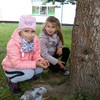 Fotografie 3 - Stavíme domečky pro lesní skřítky