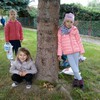 Fotografie 25 - Stavíme domečky pro lesní skřítky