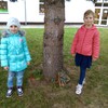 Fotografie 32 - Stavíme domečky pro lesní skřítky