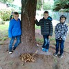 Fotografie 40 - Stavíme domečky pro lesní skřítky