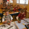 Fotografie 8 - Aranžování přírodnin