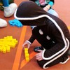Fotografie 23 - Karneval