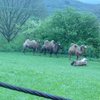 Fotografie 23 - ZOO ÚSTÍ NAD LABEM
