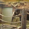 Fotografie 24 - ZOO ÚSTÍ NAD LABEM