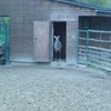 Fotografie 25 - ZOO ÚSTÍ NAD LABEM