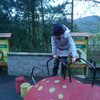 Fotografie 29 - ZOO ÚSTÍ NAD LABEM