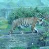 Fotografie 33 - ZOO ÚSTÍ NAD LABEM