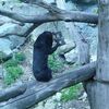 Fotografie 34 - ZOO ÚSTÍ NAD LABEM