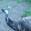 Fotografie 47 - ZOO ÚSTÍ NAD LABEM