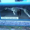 Fotografie 50 - ZOO ÚSTÍ NAD LABEM
