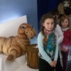 Fotografie 11 - ŠVP Plasy - Muzeum loutek