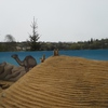 Fotografie 14 - ŠVP Plasy - ZOO Plasy