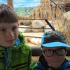 Fotografie 30 - ŠVP Plasy - ZOO Plasy