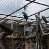 Fotografie 31 - ŠVP Plasy - ZOO Plasy