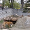 Fotografie 34 - ŠVP Plasy - ZOO Plasy