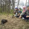 Fotografie 3 - ŠVP Plasy - nutrie