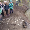 Fotografie 12 - ŠVP Plasy - nutrie