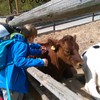 Fotografie 9 - ŠvP Plasy - ZOO Plzeň