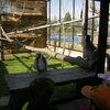 Fotografie 6 - ŠvP úterý ZOO a minigolg Plasy