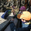 Fotografie 7 - ŠvP úterý ZOO a minigolg Plasy