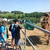 Fotografie 12 - Farmapark