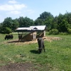 Fotografie 11 - Exkurze ZOO Chomutov
