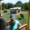 Fotografie 12 - Exkurze ZOO Chomutov